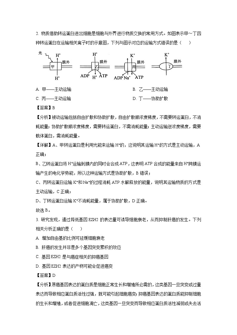 河南省名校学术联盟2025届高三下学期模拟冲刺（四）生物（解析版）第2页