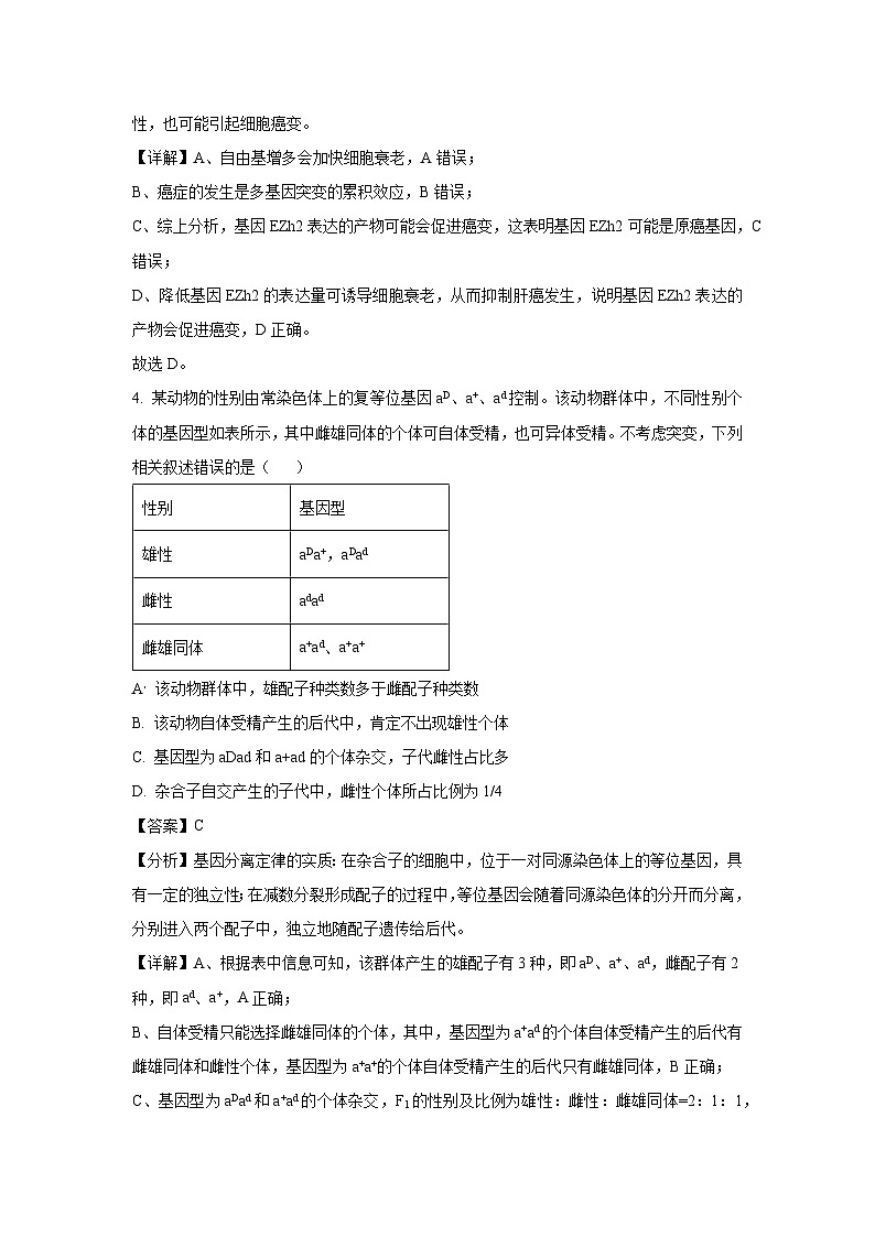 河南省名校学术联盟2025届高三下学期模拟冲刺（四）生物（解析版）第3页