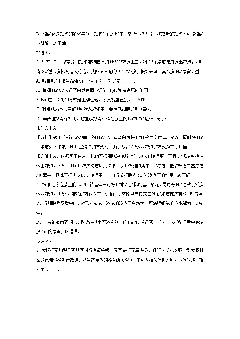 河北省承德市2025届高三下学期3月模拟生物（解析版）第2页