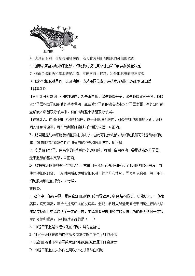 广西壮族自治区2025届高三下学期2月联合调研测试生物（解析版）第2页