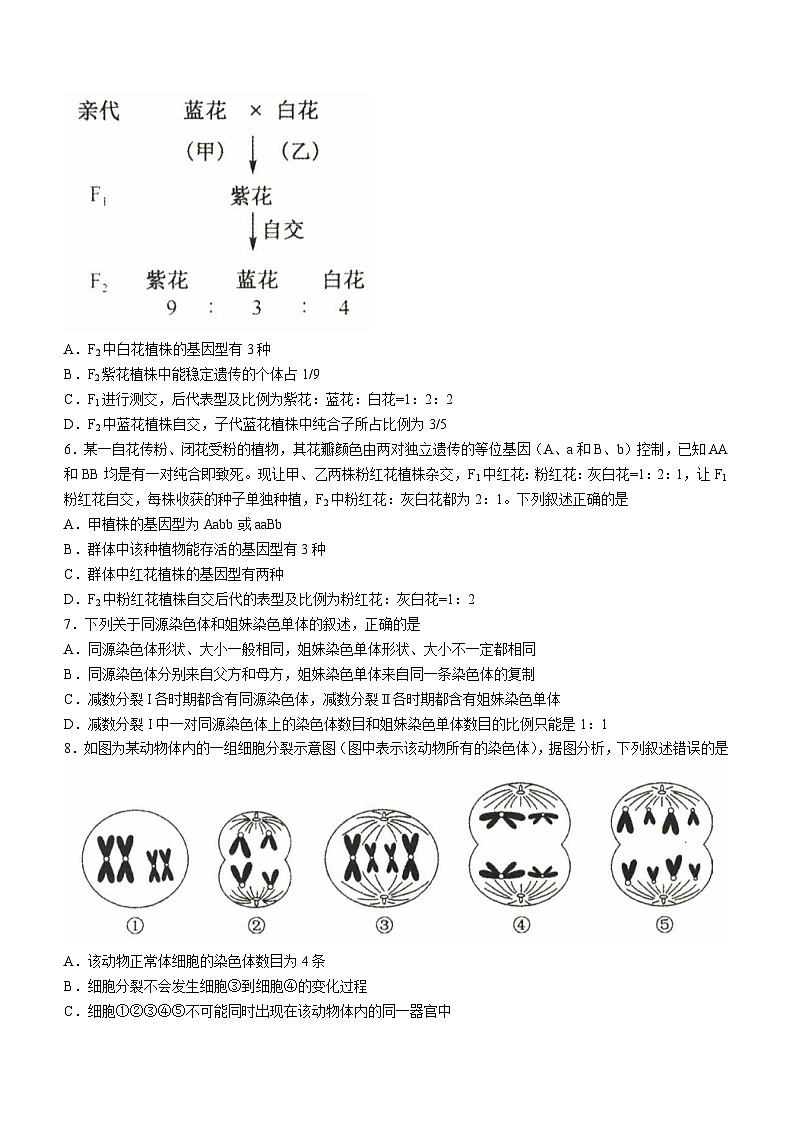 河北省沧州市沧州十校2023-2024学年高一下学期3月月考生物试题（含答案）第2页