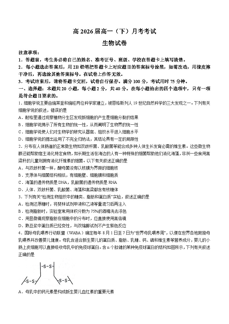 重庆市巴蜀中学校2023-2024学年高一下学期3月月考生物试题（含答案）第1页