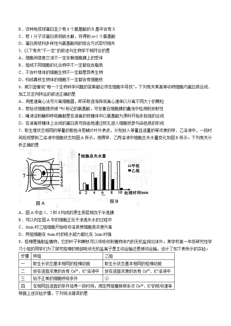重庆市巴蜀中学校2023-2024学年高一下学期3月月考生物试题（含答案）第2页