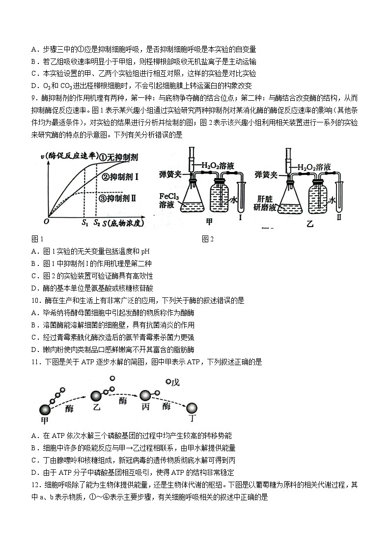 重庆市巴蜀中学校2023-2024学年高一下学期3月月考生物试题（含答案）第3页