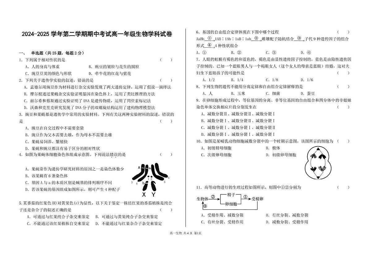 甘肃省兰州市第四片区2024-2025学年高一下学期期中考试生物试卷（PDF版附答案）第1页