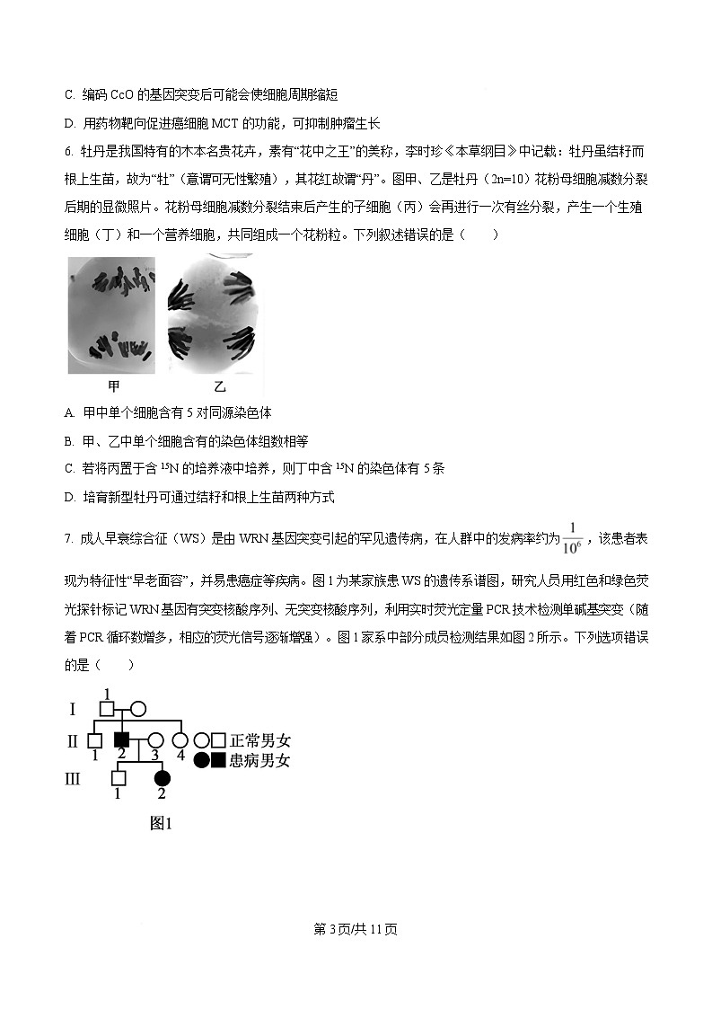 2025届河南省五市部分学校高三下学期4月第二次联考生物试题（原卷版）第3页