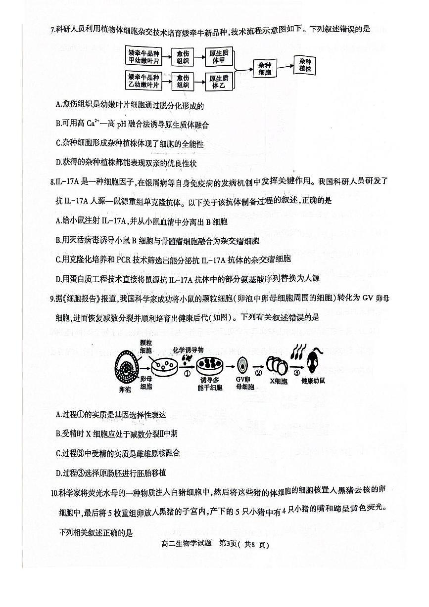 河南省信阳市2024-2025学年高一下学期4月期中考试生物试卷（PDF版附解析）第3页