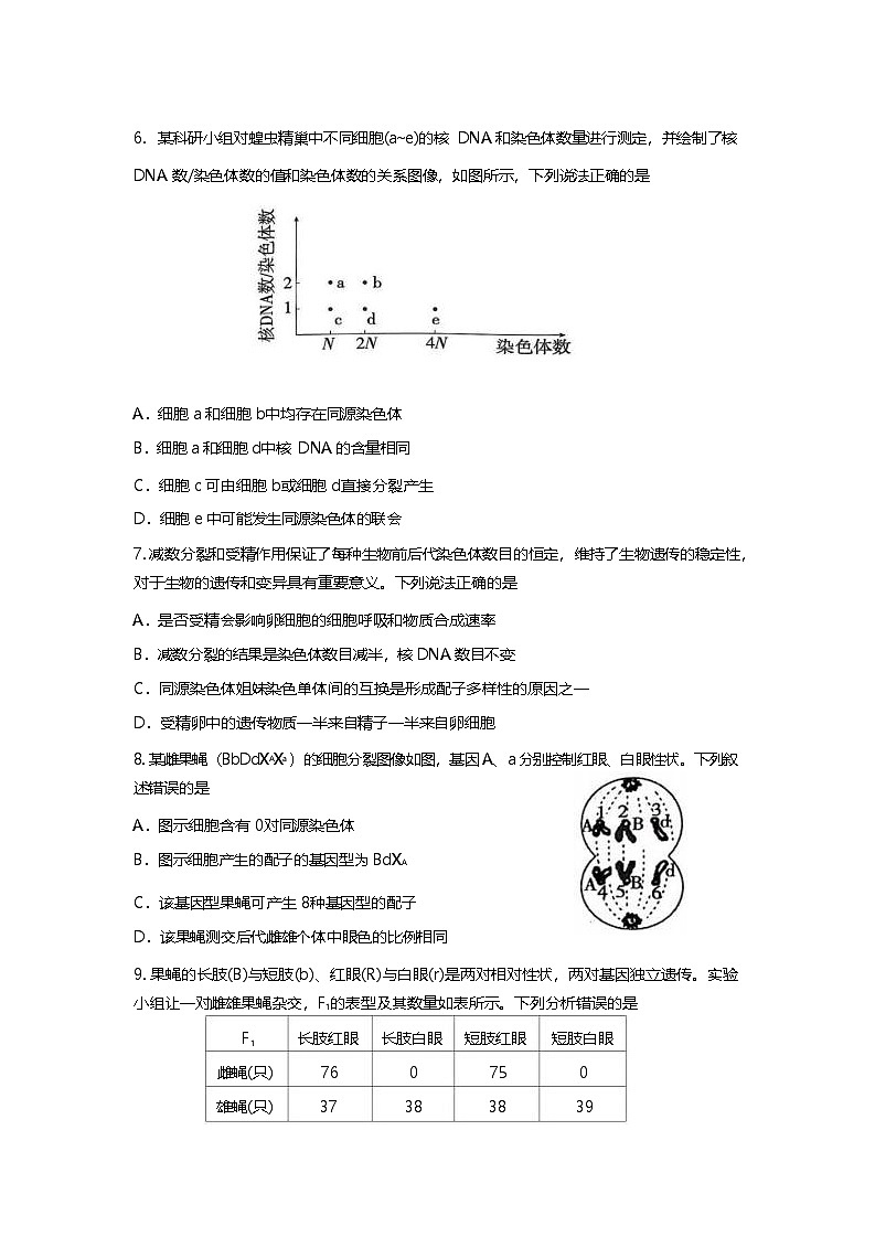 山东师范大学附属中学2024-2025学年高一下学期4月期中考试生物试卷（Word版附答案）第3页