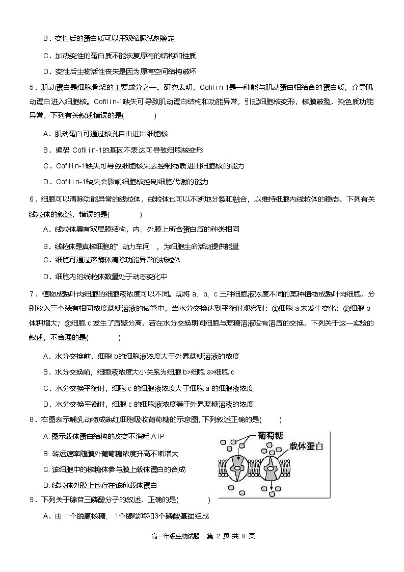 浙江省宁波市六校联盟2024-2025学年高一下学期4月期中生物试卷第2页