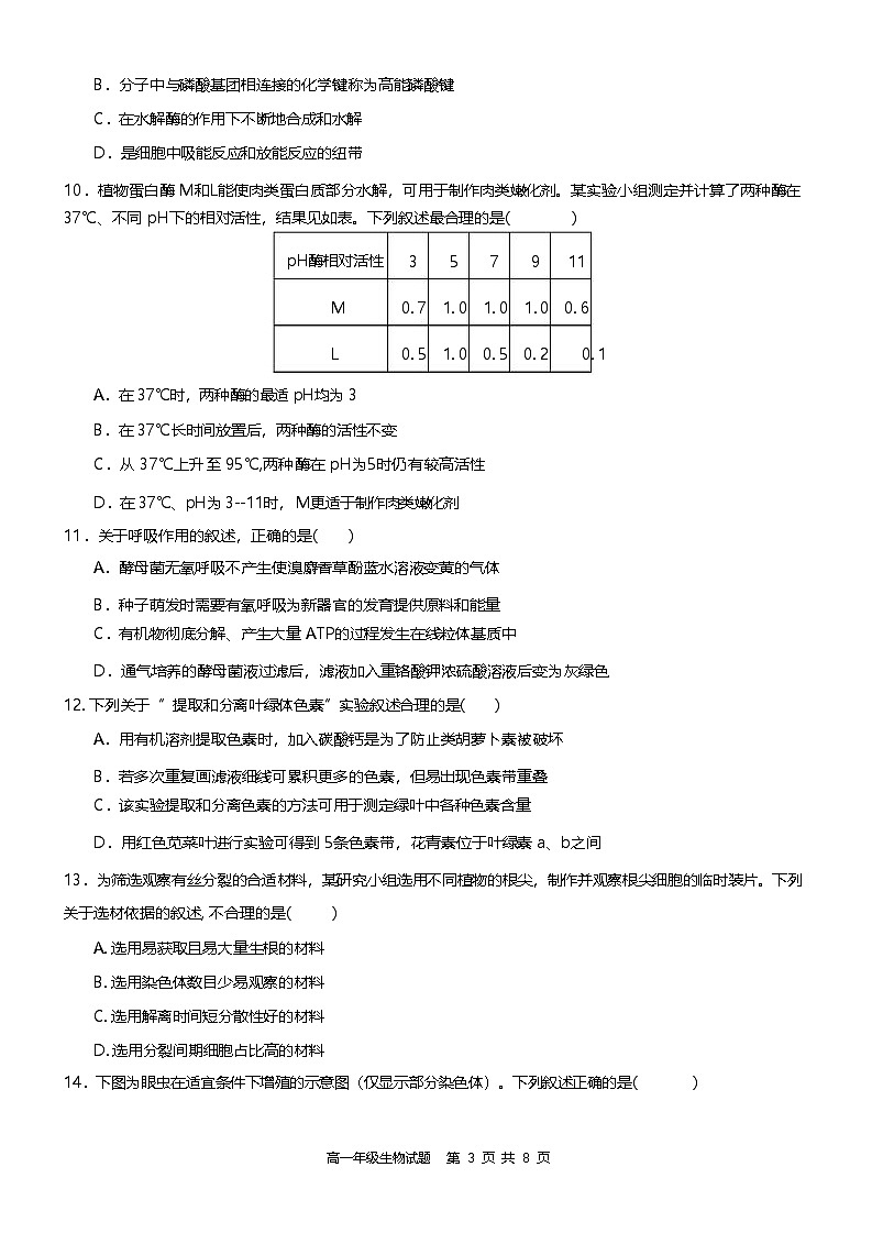浙江省宁波市六校联盟2024-2025学年高一下学期4月期中生物试卷第3页