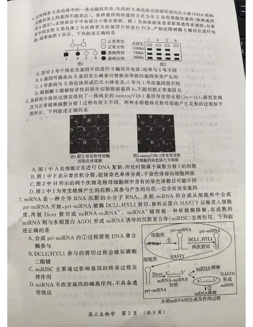 2025届河南省开封市等2地高三三模生物试题（高考模拟）第2页
