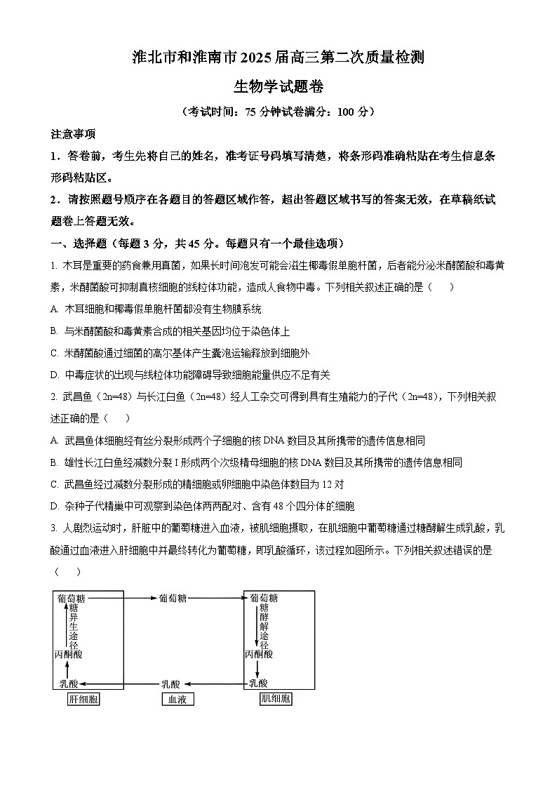 2025届安徽省淮南市、淮北市高三二模考试生物试题（高考模拟）(001)第1页