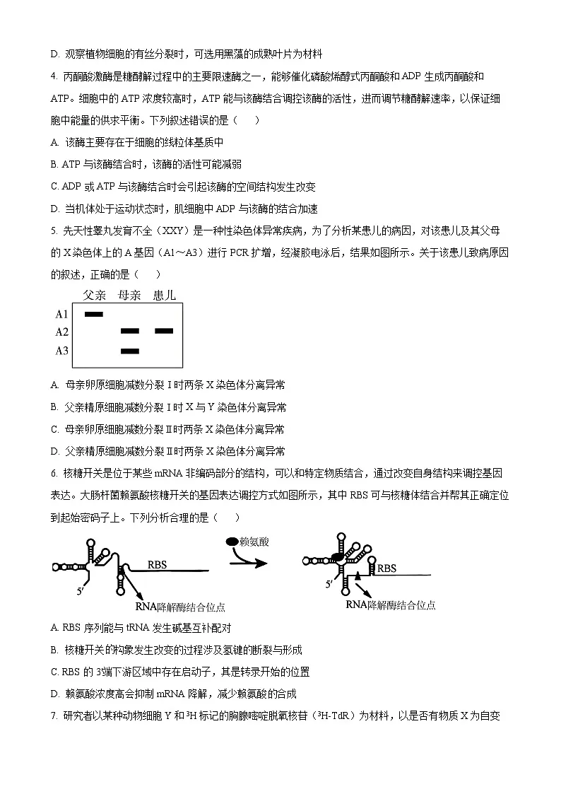2025届陕西省安康市高三三模生物试题（高考模拟）第2页