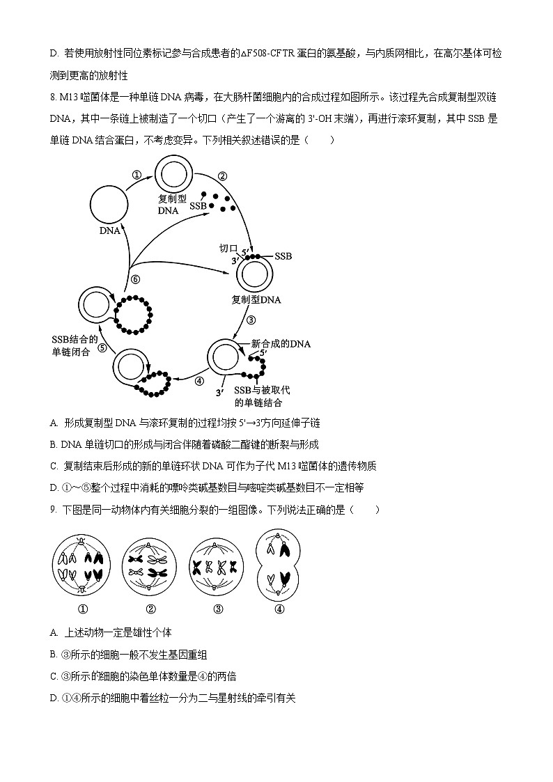 2025届陕西省西安市新城区新城区高三第六次模拟模拟预测生物试题（高考模拟）第3页