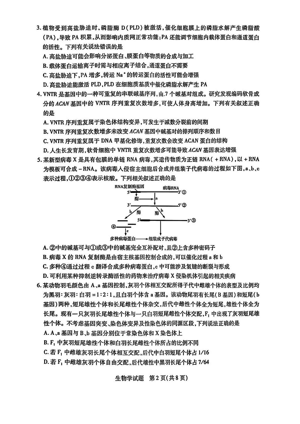 天一小高考2025届高三下学期4月第四次联考-生物试题+答案第2页