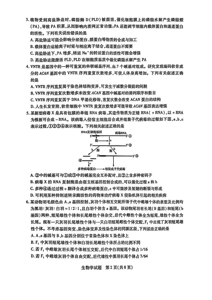 天一小高考2025届高三下学期4月第四次联考-生物试题+答案第2页