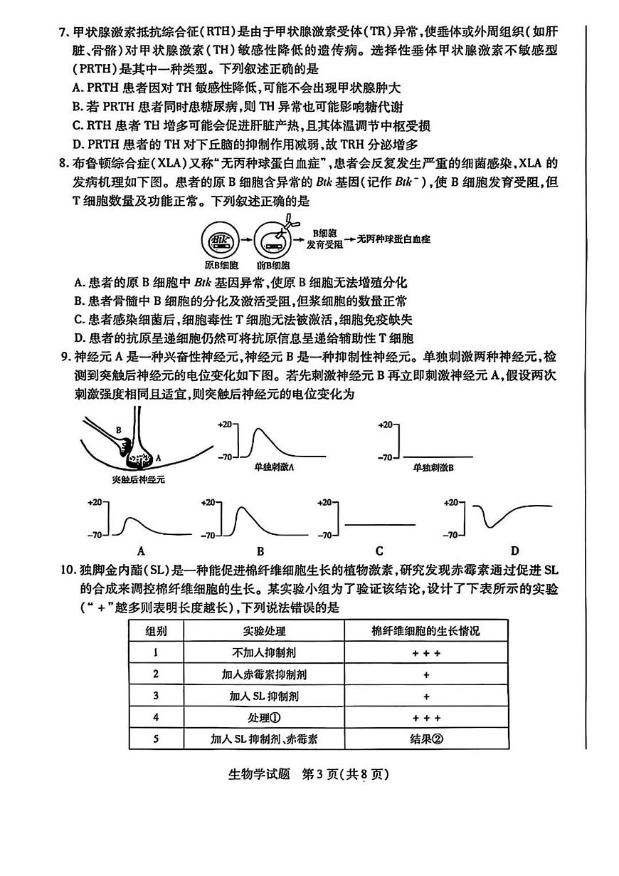 天一小高考2025届高三下学期4月第四次联考-生物试题+答案第3页
