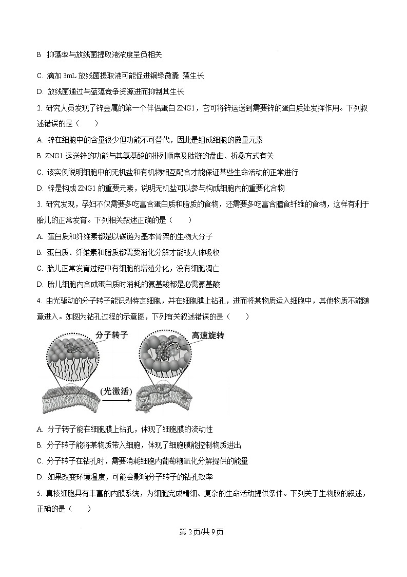 湖北省部分高中协作体2024-2025学年高一下学期4月期中生物试题（原卷版）第2页