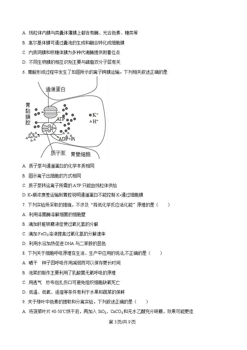 湖北省部分高中协作体2024-2025学年高一下学期4月期中生物试题（原卷版）第3页