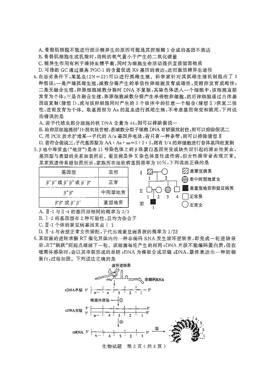 2025年山东省济宁市和枣庄市高三二模生物试题及其答案第2页