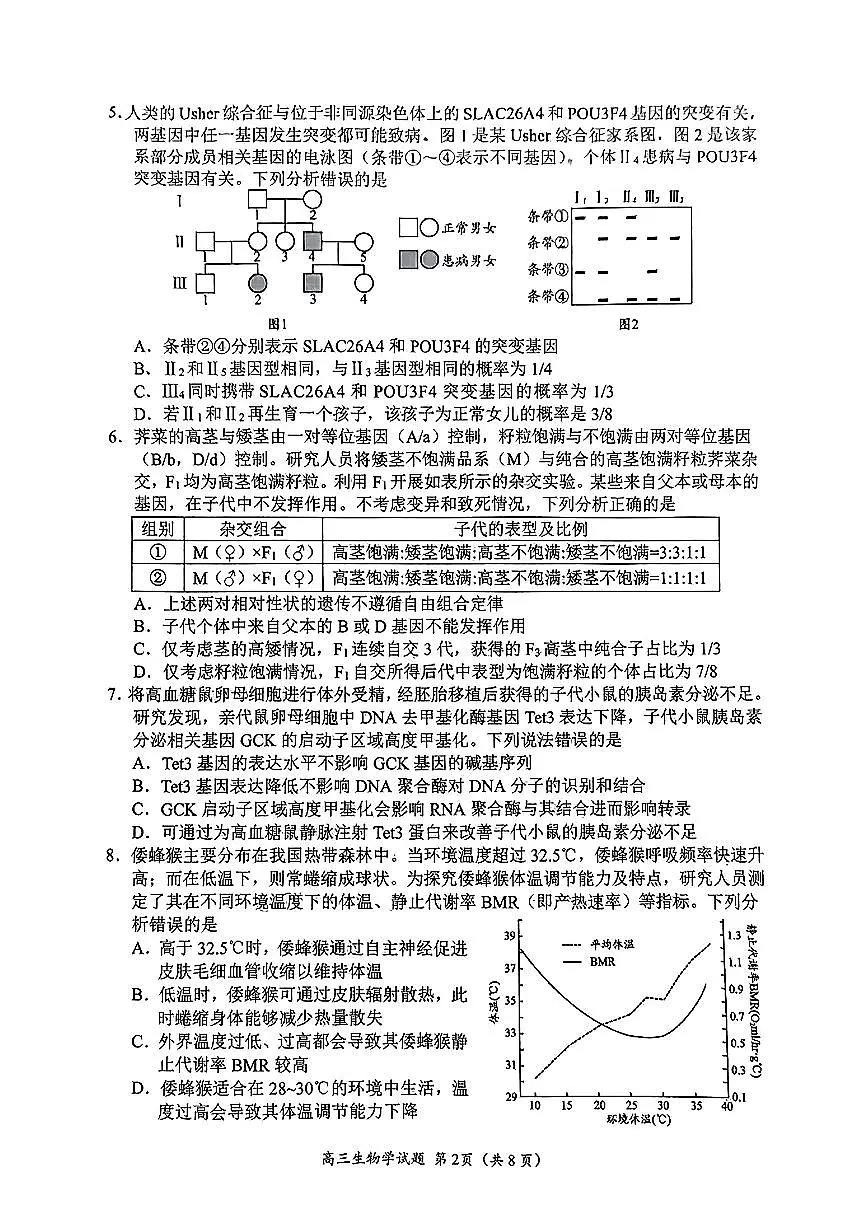 2025年山东省日照市高三二模生物试题及其答案第2页