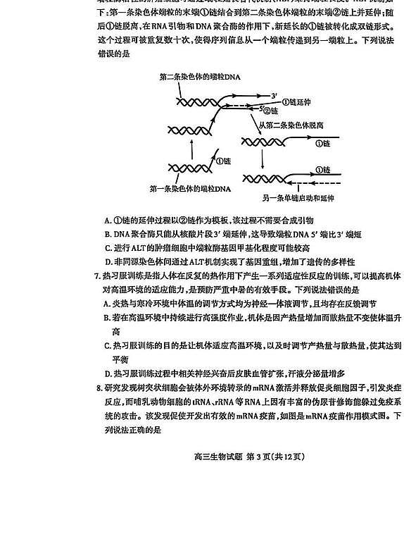 2025年山东省泰安市高三二模生物试题及其答案第3页