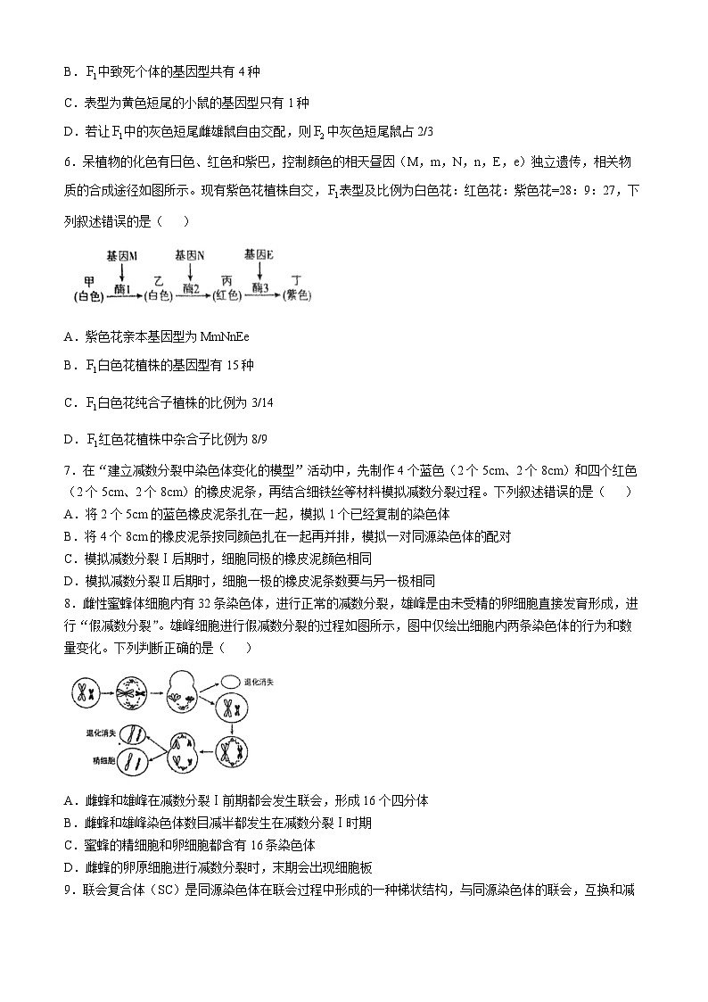 河南省南阳市方城县方城县第一高级中学2024-2025学年高一下学期3月月考生物试题（含答案）第2页