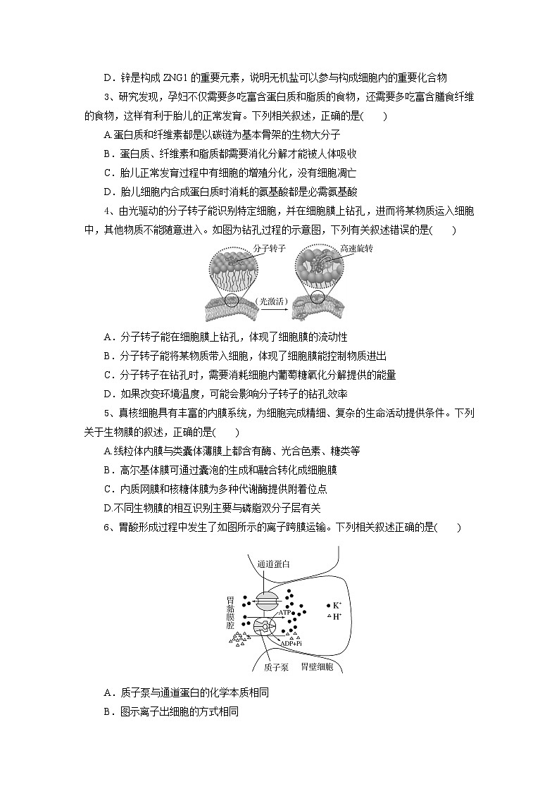 湖北省部分高中协作体2024-2025学年高一下学期4月期中生物试题第2页