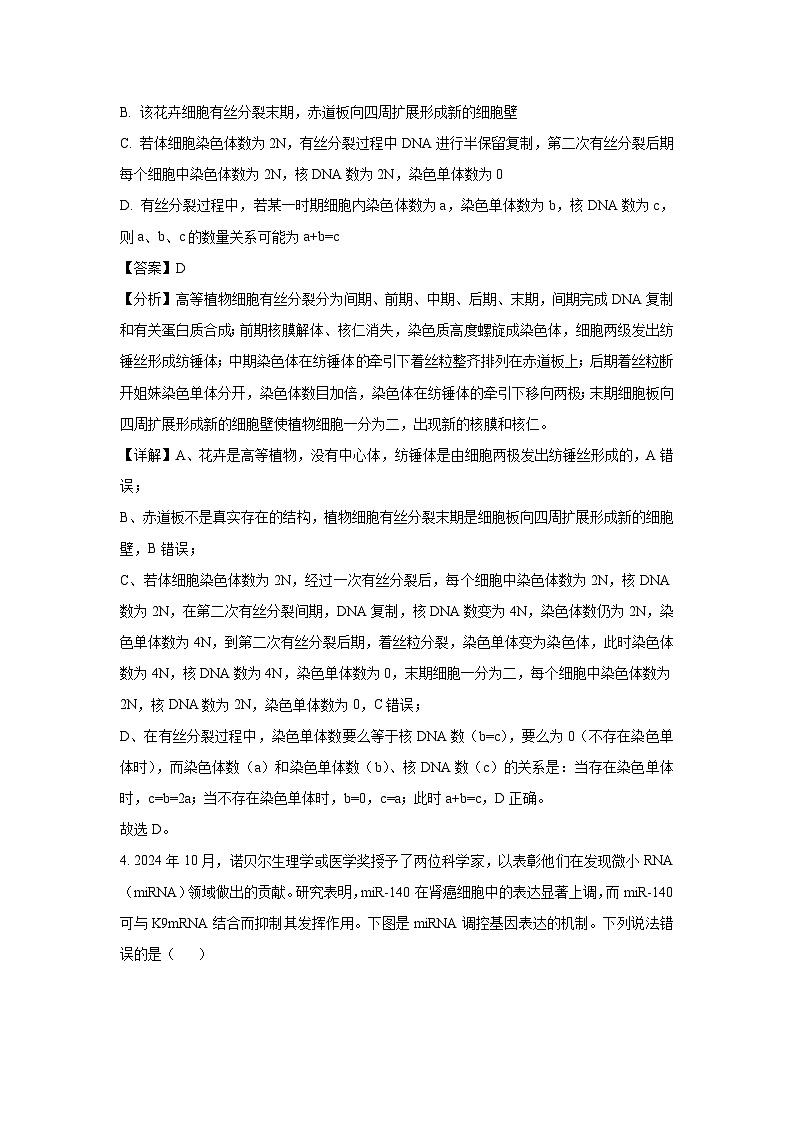 河南焦作地区2024—2025学年高三下学期3月联考生物（解析版）第3页