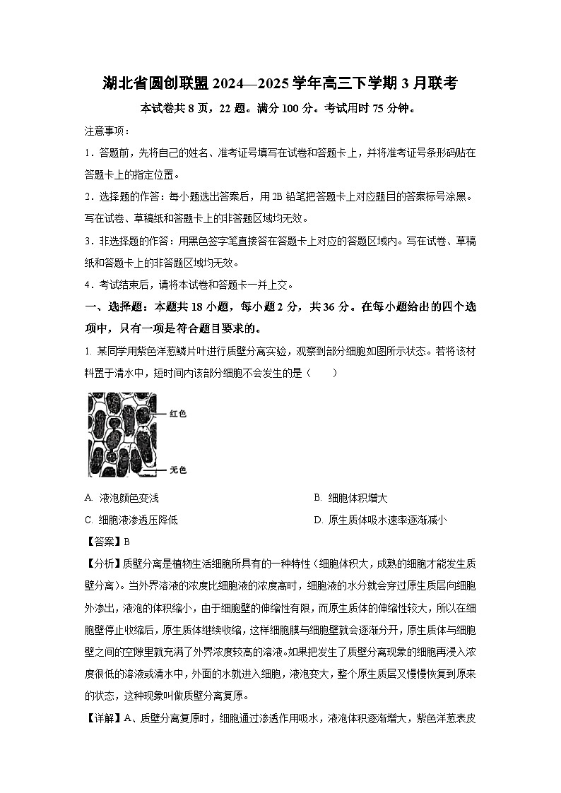 湖北省圆创联盟2024—2025学年高三下学期3月联考生物（解析版）第1页