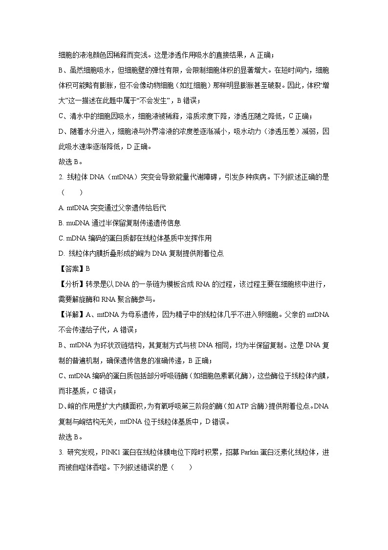 湖北省圆创联盟2024—2025学年高三下学期3月联考生物（解析版）第2页