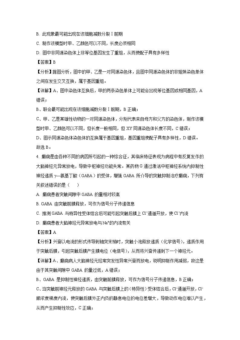 江西省2025届高三3月联考生物试题（解析版）第3页