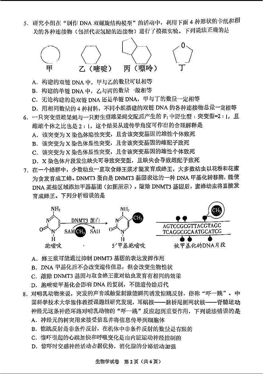 2024贵州省毕节市高三第二次诊断性考试-生物试卷（含答案）第2页