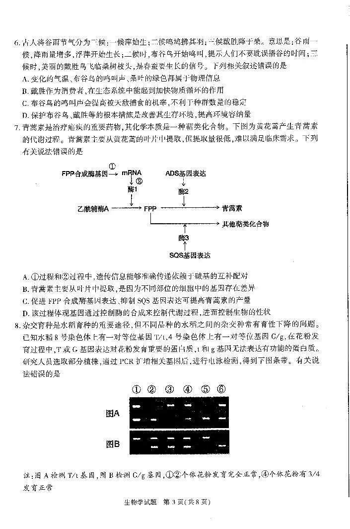 2024届安徽省合肥市高三一模生物试卷（含答案）第3页