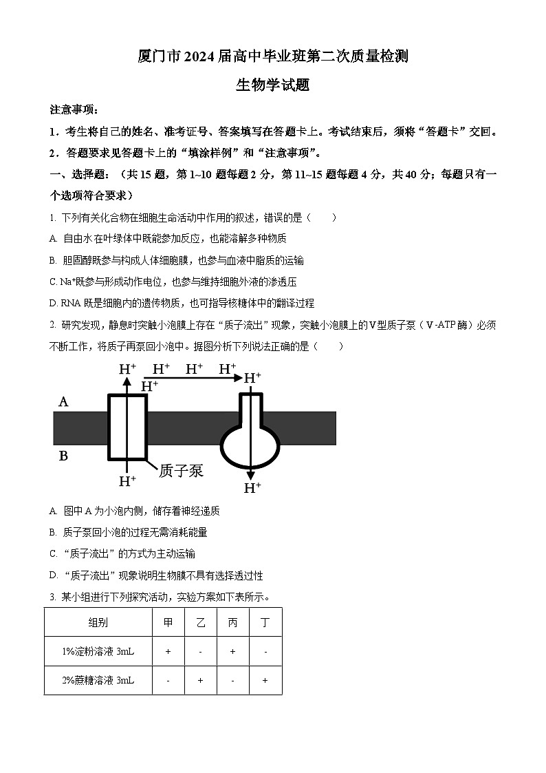 福建省厦门市2024届高三下学期第二次质量检测 生物试卷（含答案）第1页
