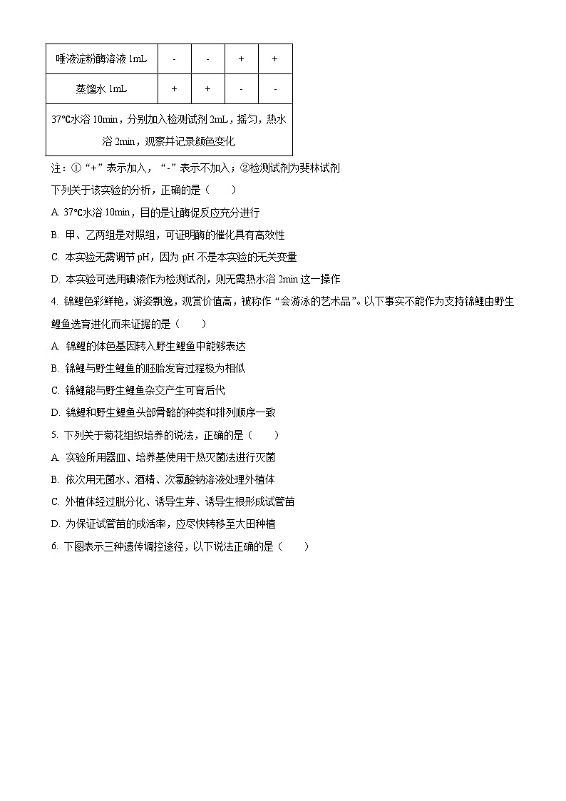 福建省厦门市2024届高三下学期第二次质量检测 生物试卷（含答案）第2页