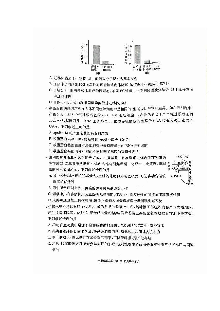 湖南省九校联盟2024届高三下学期第二次联考 生物试卷（含答案）第2页