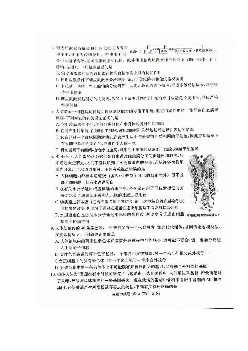 湖南省九校联盟2024届高三下学期第二次联考 生物试卷（含答案）第3页