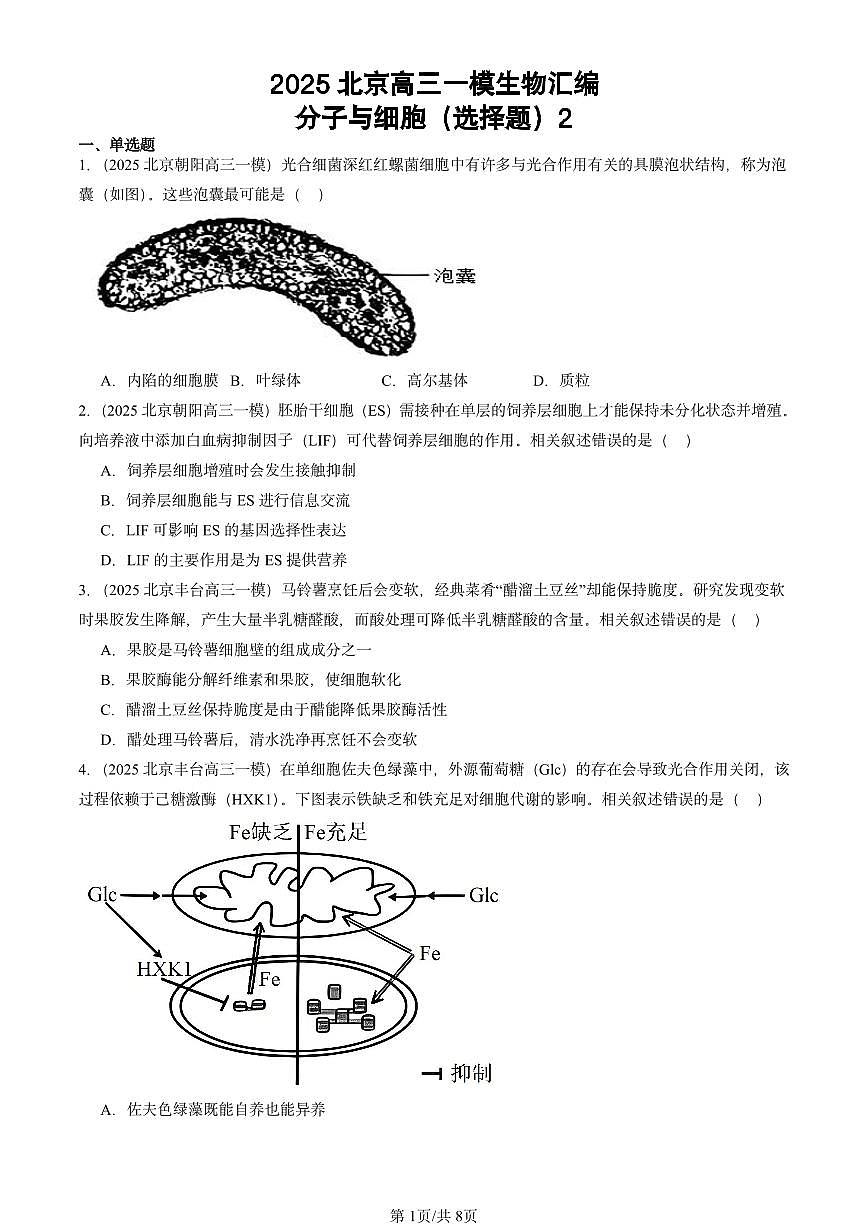 2025北京高三一模[高考模拟]生物汇编：分子与细胞（选择题）2第1页