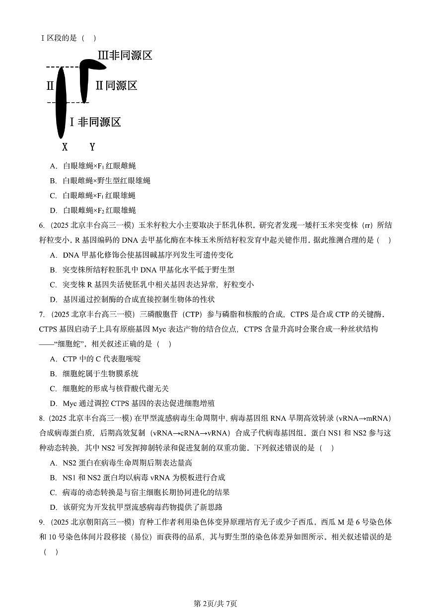2025北京高三一模[高考模拟]生物汇编：遗传与进化（选择题）2第2页