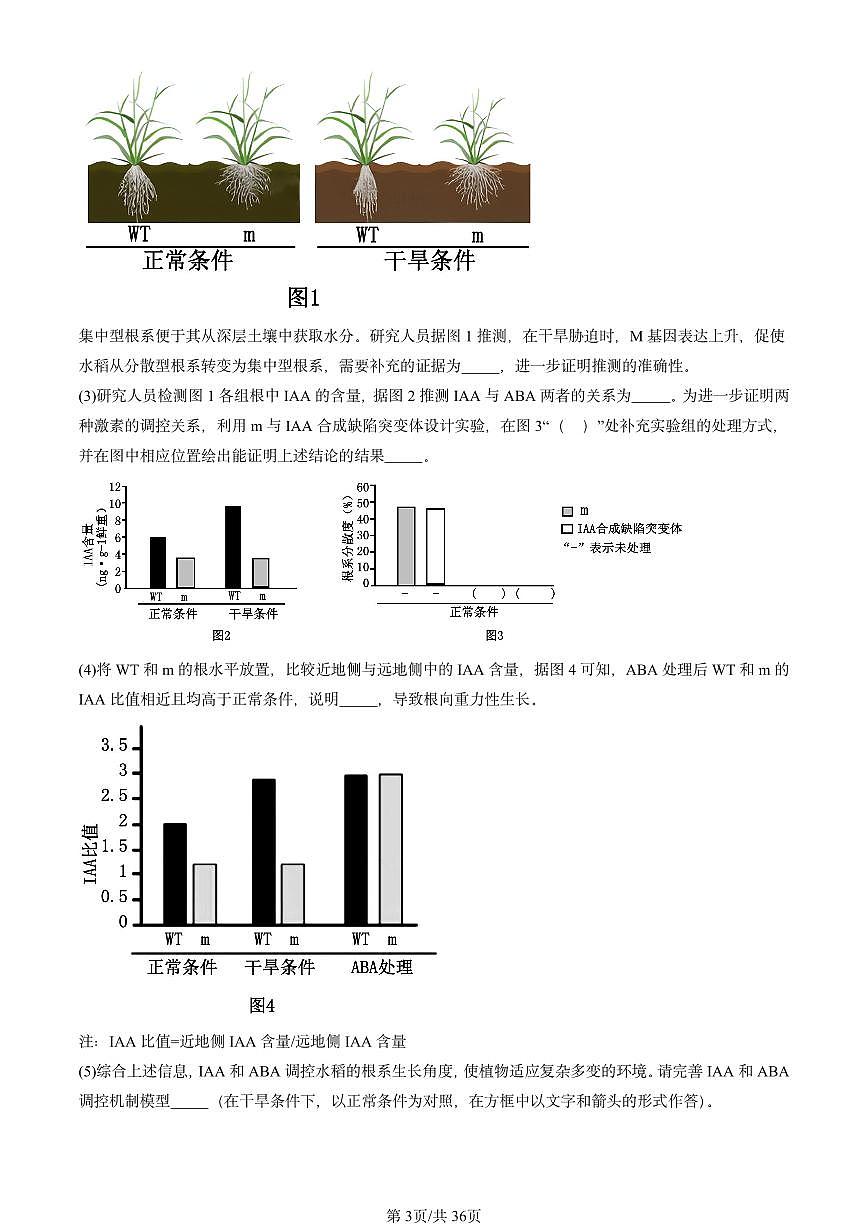 2025北京高三一模[高考模拟]生物汇编：稳态与调节（非选择题）第3页