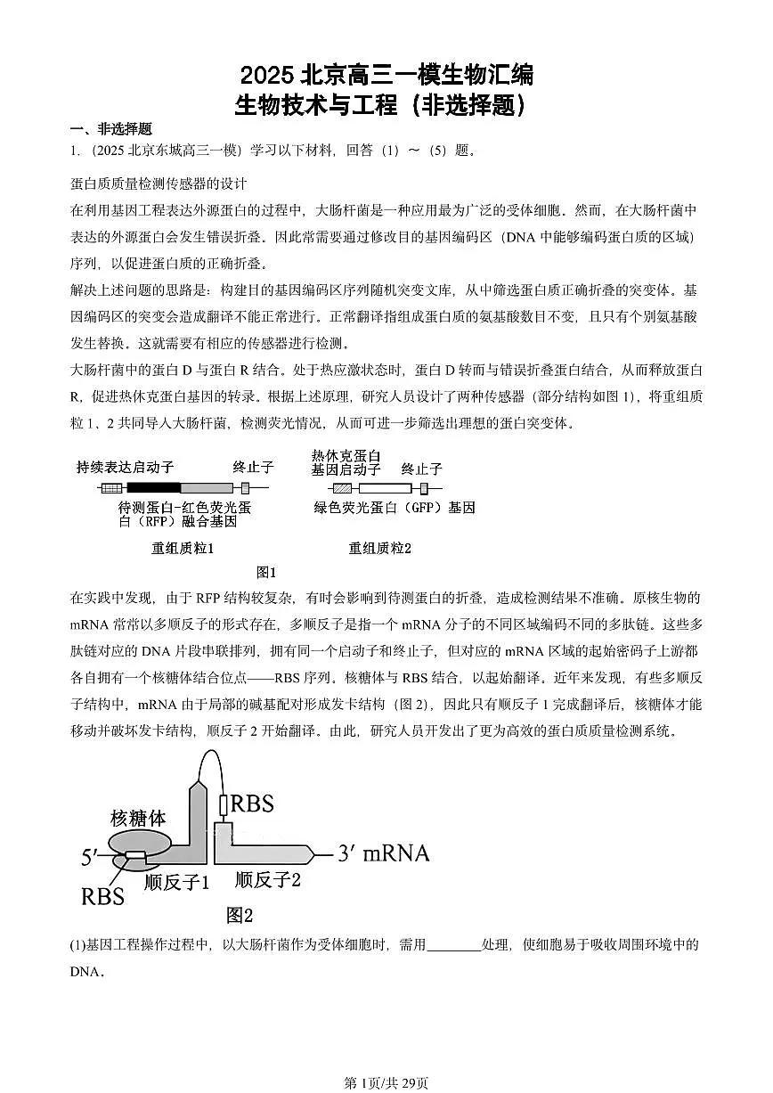 2025北京高三一模[高考模拟]生物汇编：生物技术与工程（非选择题）第1页