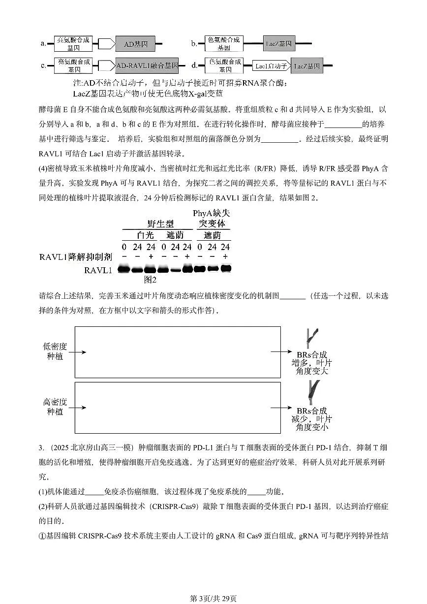 2025北京高三一模[高考模拟]生物汇编：生物技术与工程（非选择题）第3页