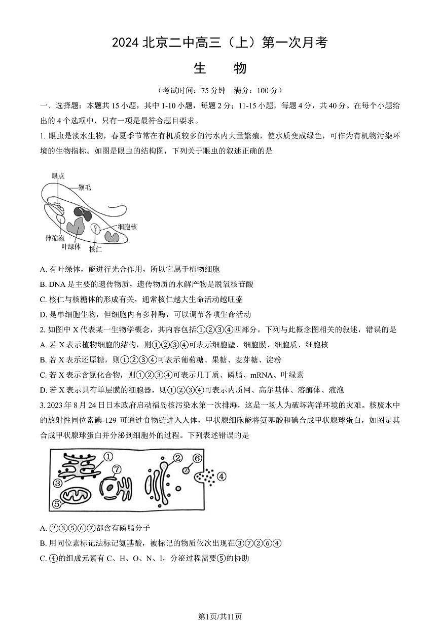 2024北京二中高三（上）第一次月考生物（教师版）试卷第1页