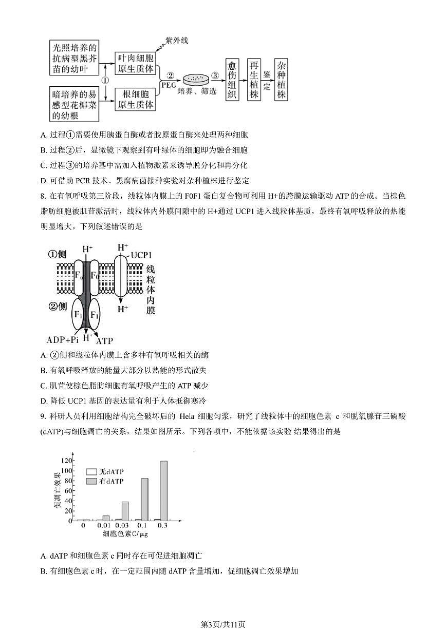 2024北京二中高三（上）第一次月考生物（教师版）试卷第3页