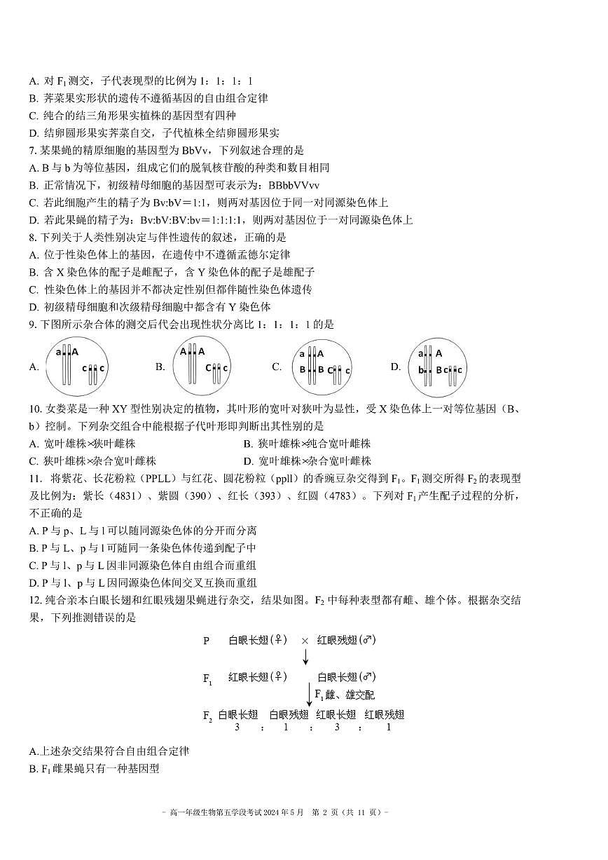 2024北京二中高一（下）五学段[月考]生物试卷第2页