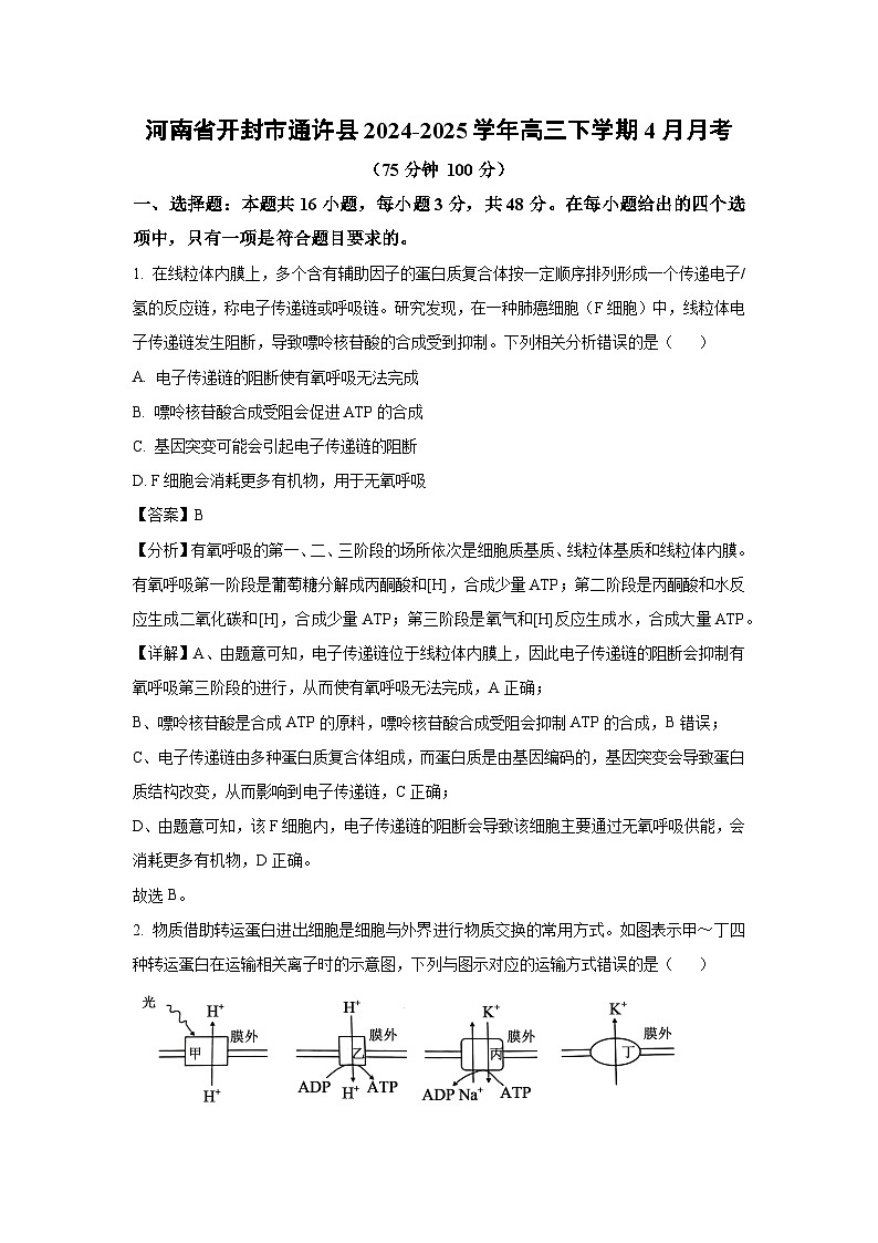 河南省开封市通许县2024-2025学年高三下学期4月月考生物试卷（解析版）第1页
