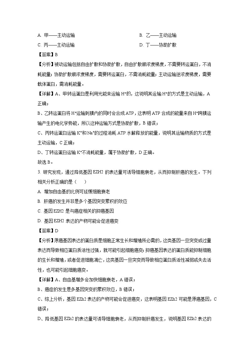 河南省开封市通许县2024-2025学年高三下学期4月月考生物试卷（解析版）第2页