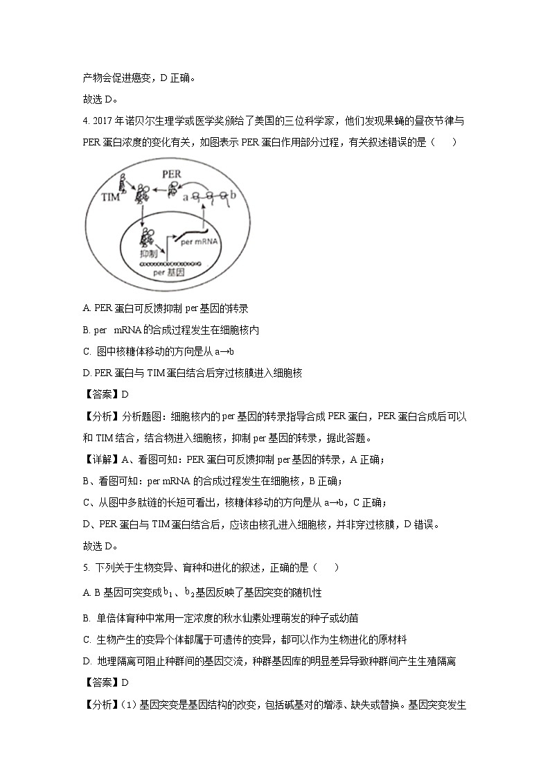 河南省开封市通许县2024-2025学年高三下学期4月月考生物试卷（解析版）第3页