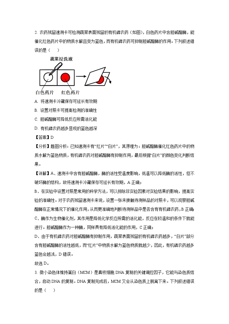 山西省太原市2024-2025学年高三下学期模拟考试生物试卷（解析版）第2页